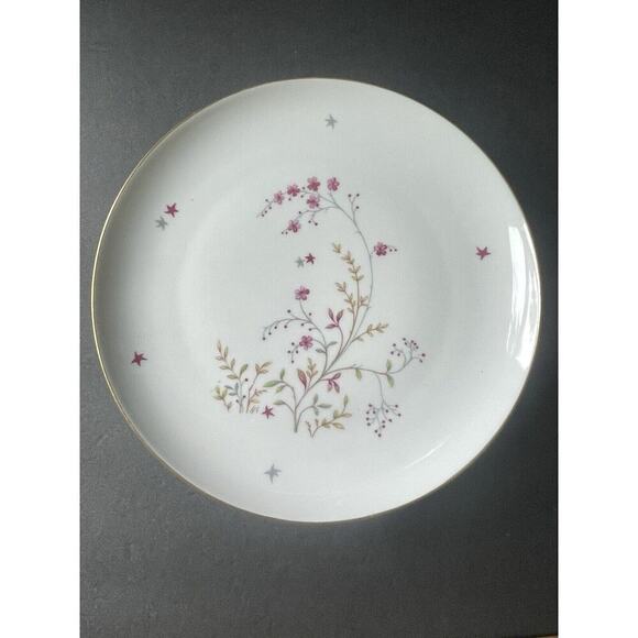 Eschenbach Bavaria Germany Clarice Baronet China Vtg. Luncheon/Salad Plate (4)